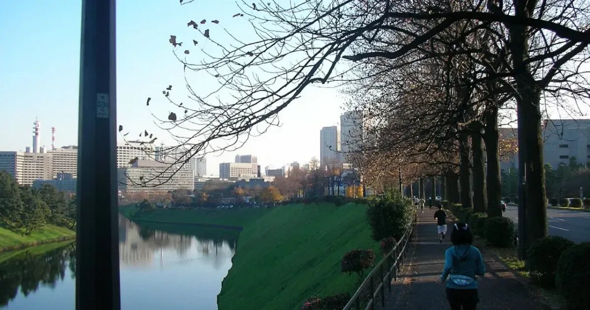 🌳 오야마다이리 공원